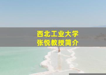 西北工业大学张悦教授简介