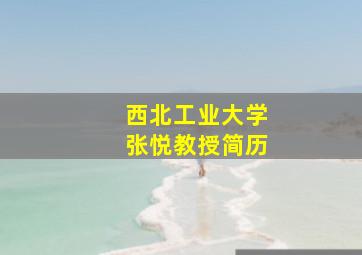 西北工业大学张悦教授简历