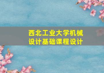 西北工业大学机械设计基础课程设计