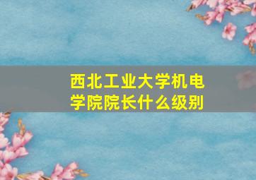 西北工业大学机电学院院长什么级别