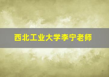 西北工业大学李宁老师