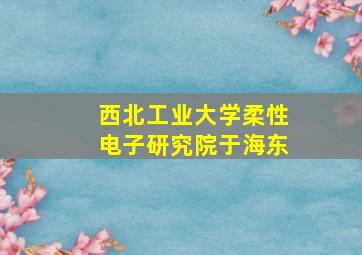 西北工业大学柔性电子研究院于海东