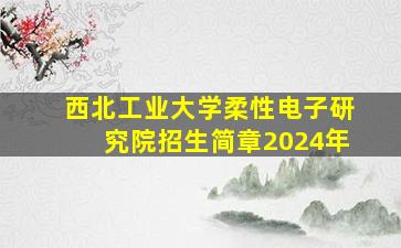 西北工业大学柔性电子研究院招生简章2024年