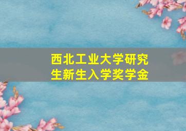 西北工业大学研究生新生入学奖学金