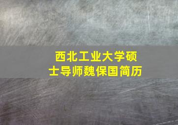 西北工业大学硕士导师魏保国简历