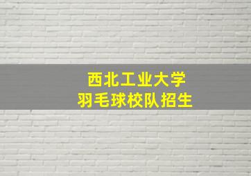 西北工业大学羽毛球校队招生