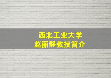 西北工业大学赵丽静教授简介