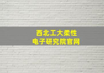 西北工大柔性电子研究院官网