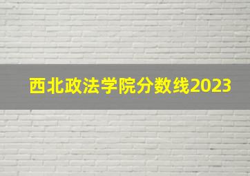 西北政法学院分数线2023