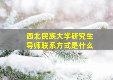 西北民族大学研究生导师联系方式是什么