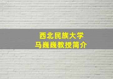 西北民族大学马巍巍教授简介