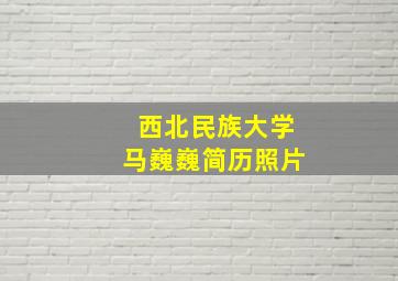 西北民族大学马巍巍简历照片