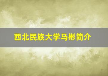 西北民族大学马彬简介