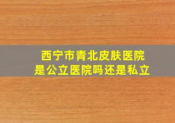 西宁市青北皮肤医院是公立医院吗还是私立