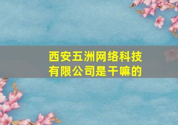 西安五洲网络科技有限公司是干嘛的