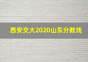 西安交大2020山东分数线