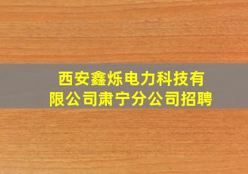 西安鑫烁电力科技有限公司肃宁分公司招聘