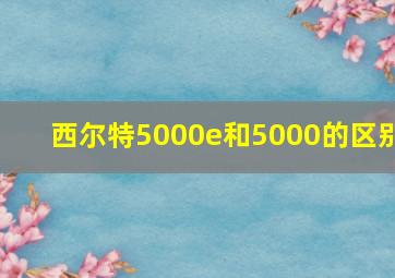 西尔特5000e和5000的区别