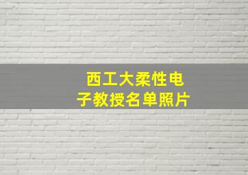 西工大柔性电子教授名单照片