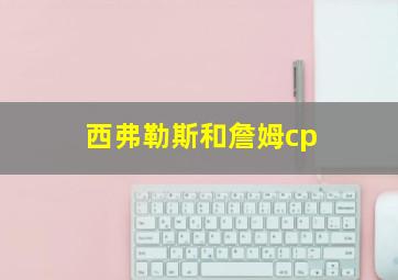 西弗勒斯和詹姆cp