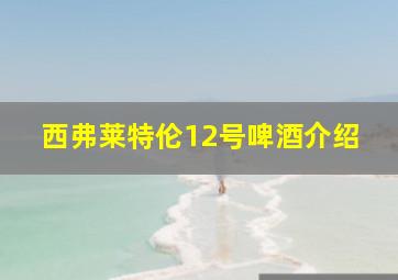 西弗莱特伦12号啤酒介绍