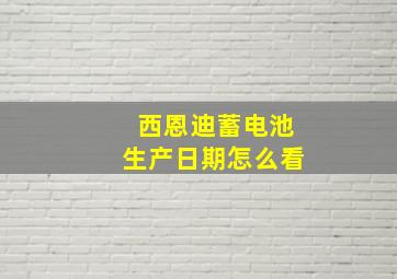 西恩迪蓄电池生产日期怎么看