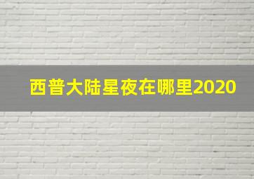 西普大陆星夜在哪里2020