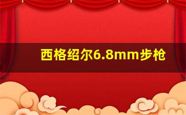 西格绍尔6.8mm步枪