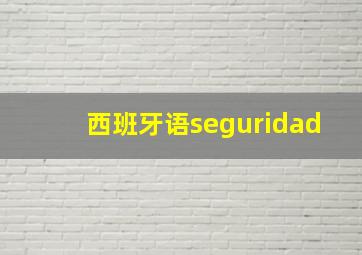 西班牙语seguridad