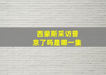 西蒙斯采访普京了吗是哪一集