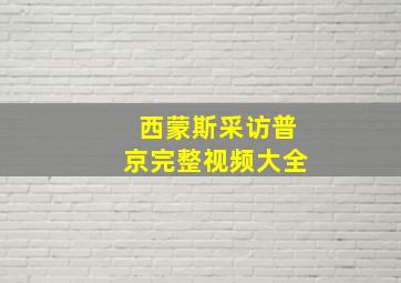 西蒙斯采访普京完整视频大全