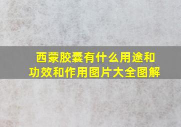 西蒙胶囊有什么用途和功效和作用图片大全图解