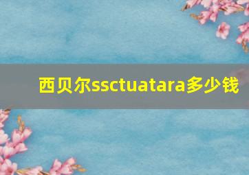 西贝尔ssctuatara多少钱