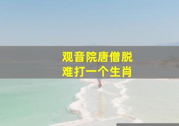 观音院唐僧脱难打一个生肖