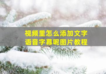 视频里怎么添加文字语音字幕呢图片教程