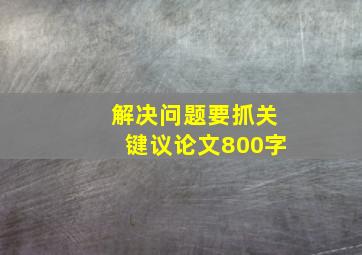 解决问题要抓关键议论文800字