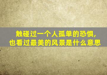 触碰过一个人孤单的恐惧,也看过最美的风景是什么意思