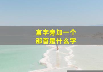 言字旁加一个部首是什么字