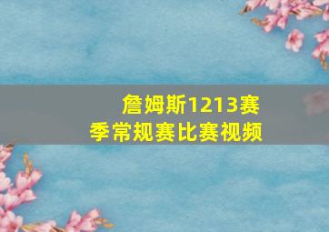 詹姆斯1213赛季常规赛比赛视频