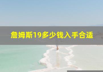 詹姆斯19多少钱入手合适