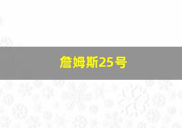 詹姆斯25号