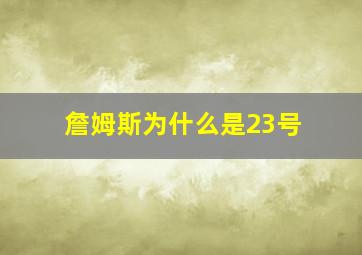 詹姆斯为什么是23号