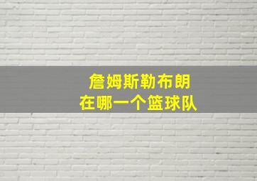 詹姆斯勒布朗在哪一个篮球队