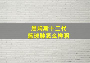 詹姆斯十二代篮球鞋怎么样啊