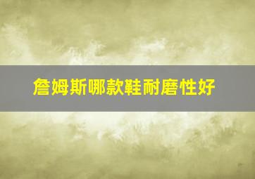 詹姆斯哪款鞋耐磨性好