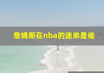 詹姆斯在nba的迷弟是谁