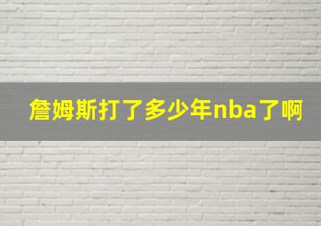 詹姆斯打了多少年nba了啊