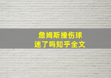 詹姆斯撞伤球迷了吗知乎全文