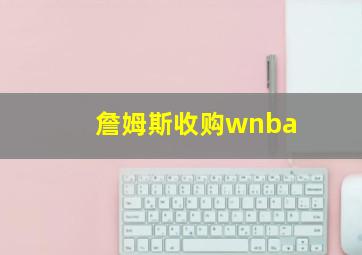 詹姆斯收购wnba