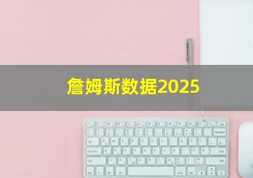 詹姆斯数据2025